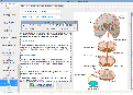 With LabTutor you can create and manage feature-rich courses and conduct lessons either in a traditional laboratory setting. Students engage in hands-on learning by recording and analyzing their own biological signals and work through exercises supported by video, audio, quizzes and other fun ways of learning.